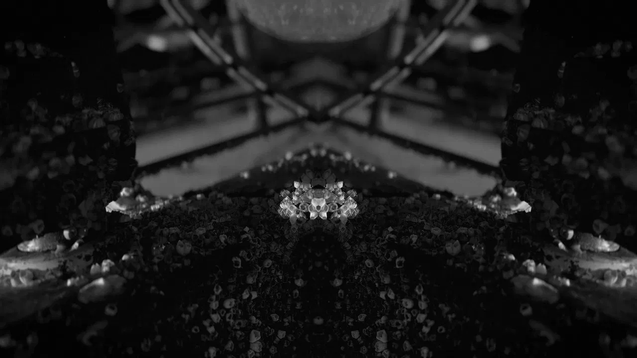 The Fog Horn backdrop