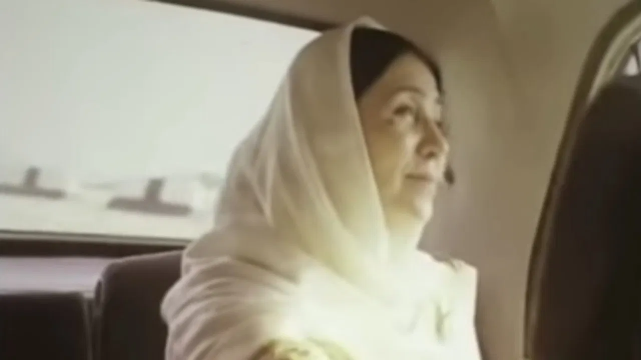 Fazu Aliyeva backdrop