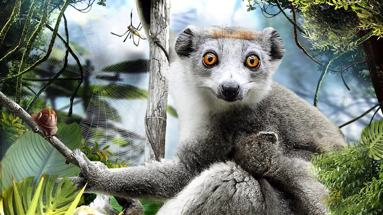 Madagascar 3D backdrop