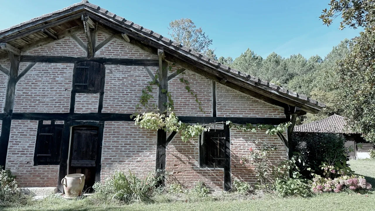 Latche, l'esprit des lieux backdrop