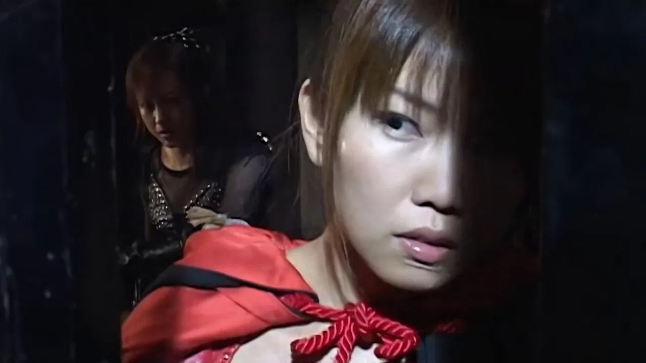 Ninja Vixens: Web of Passion backdrop