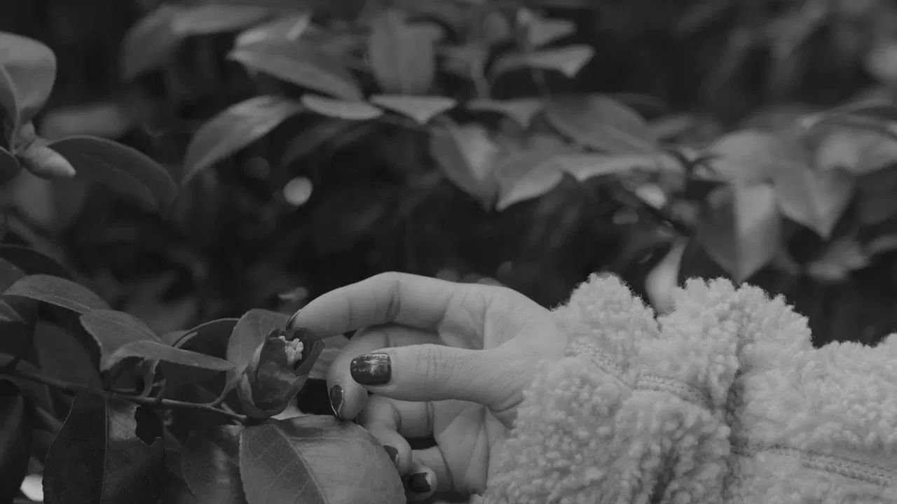 Elements of Hopelessness backdrop