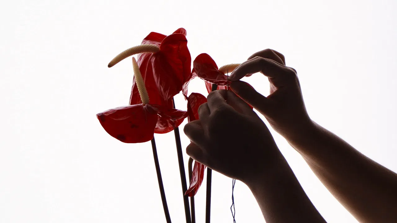 It Went With The Sea backdrop