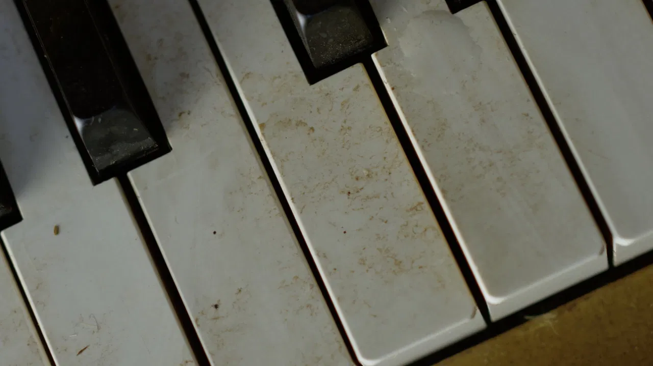 Sentimental Value backdrop