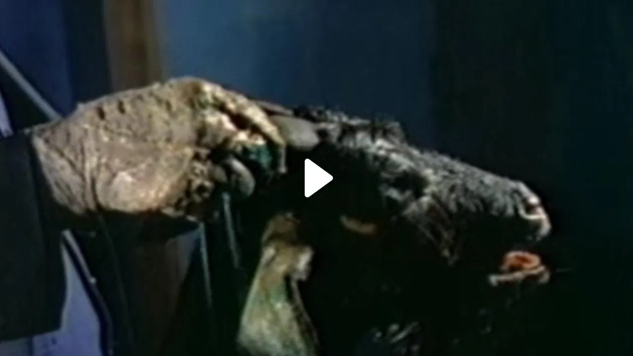 Ritual of Death backdrop