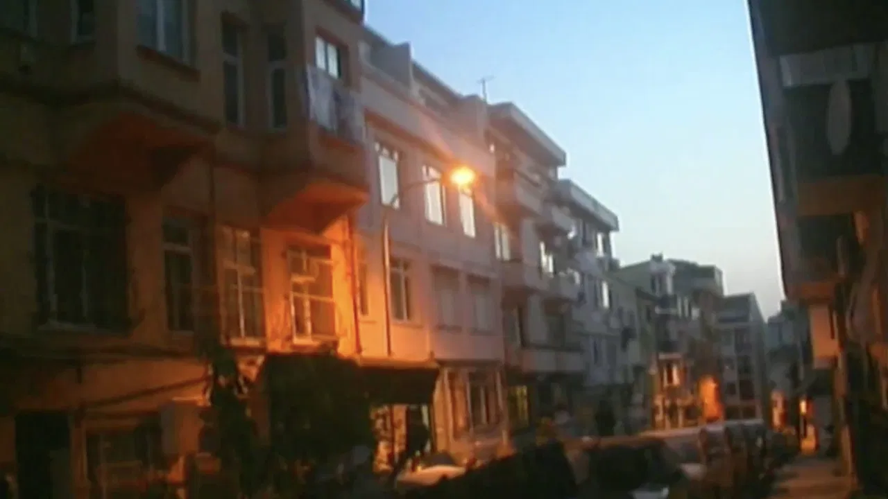 don't let the bedbugs bite backdrop