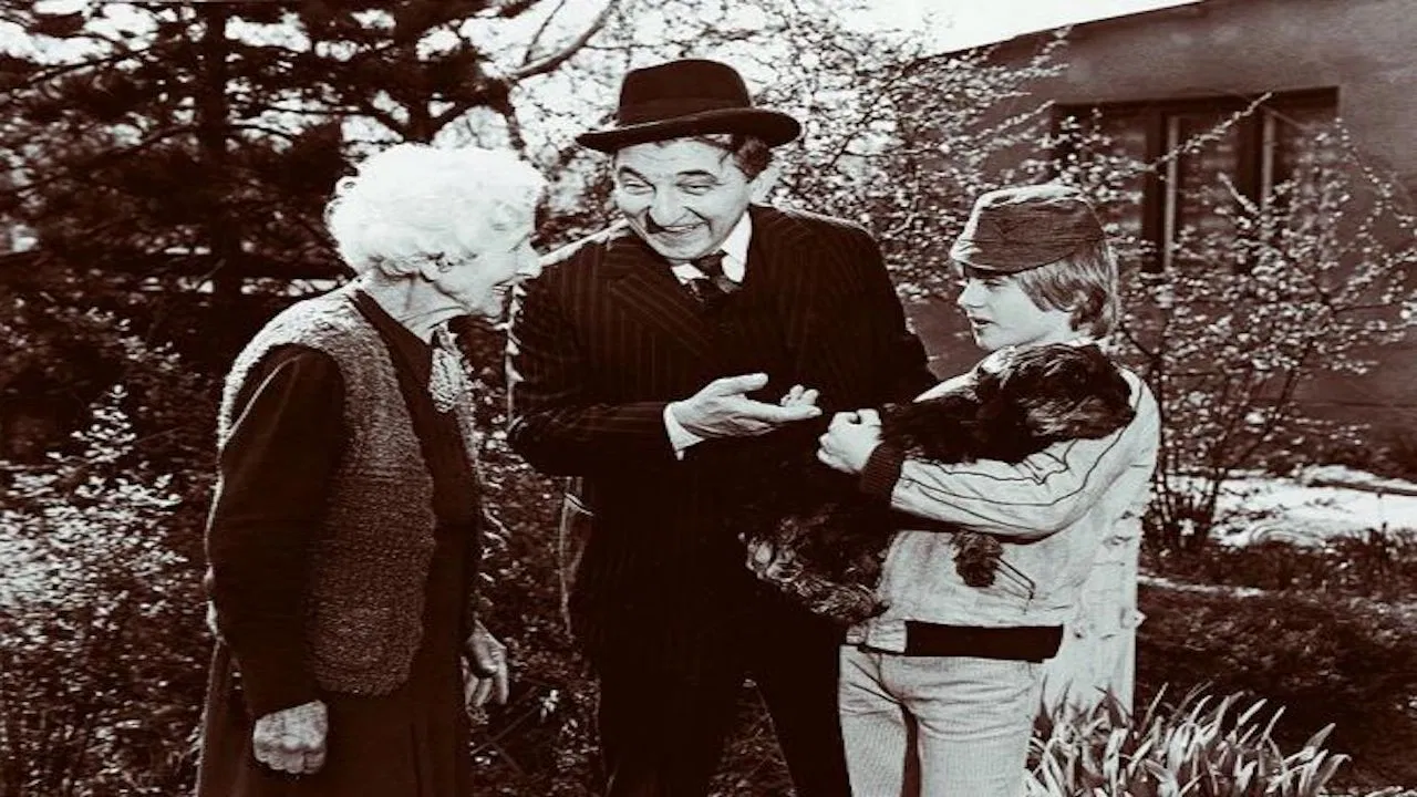 A közös kutya backdrop