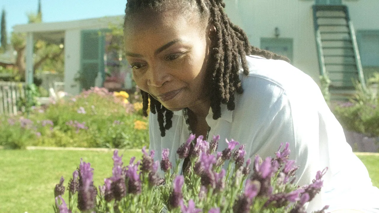 The Kingdom backdrop