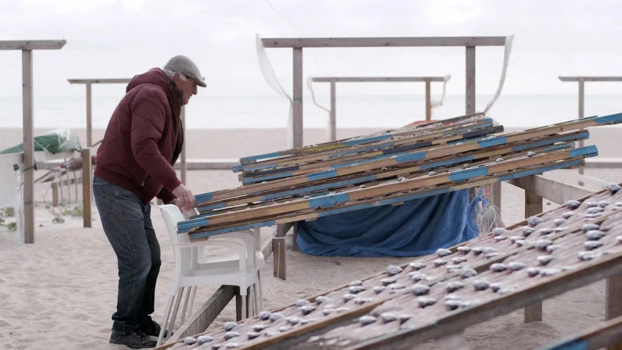 Vento de Sal backdrop