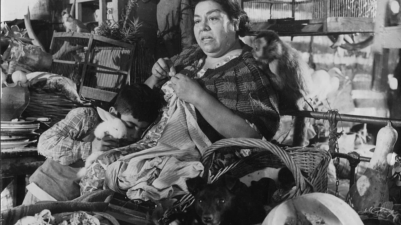 Flooded Out backdrop