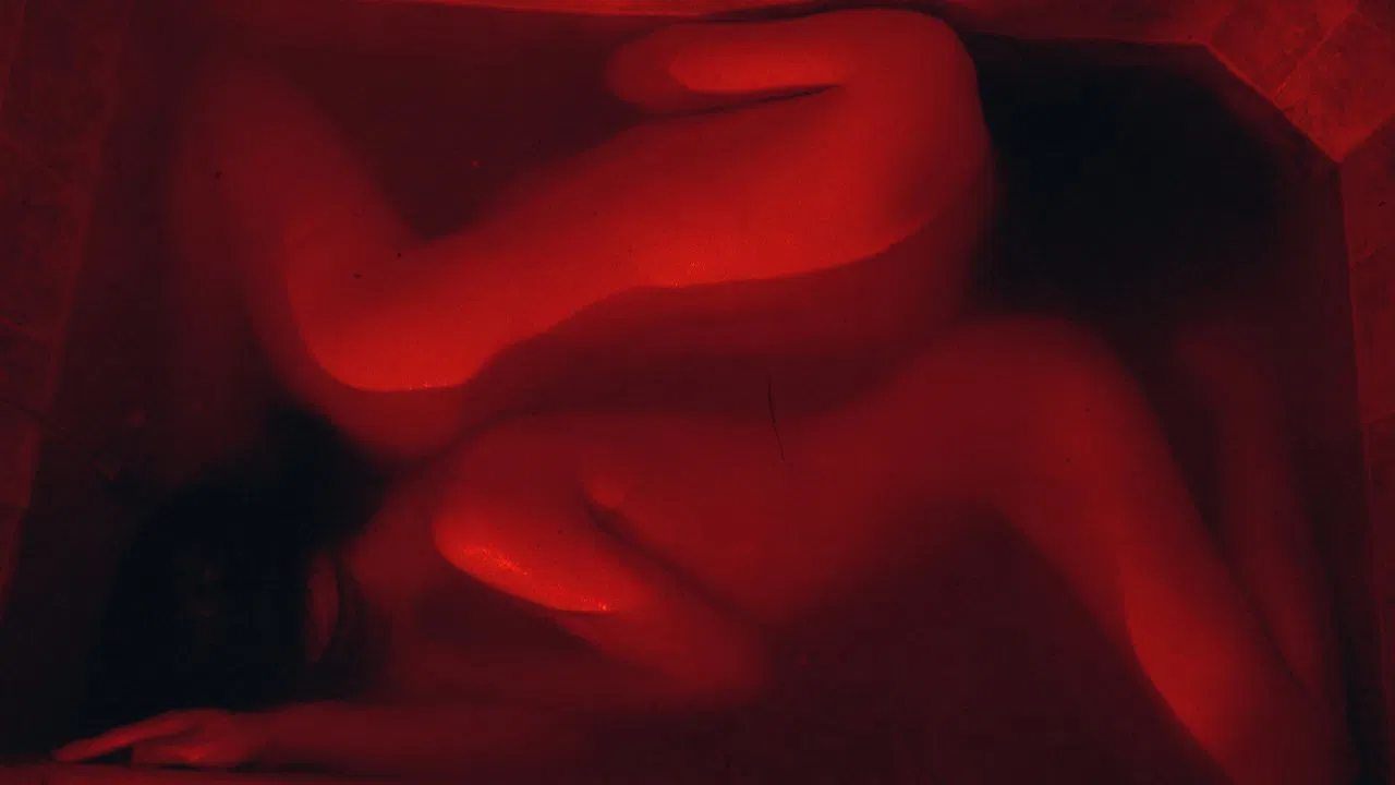 Love You Forever backdrop