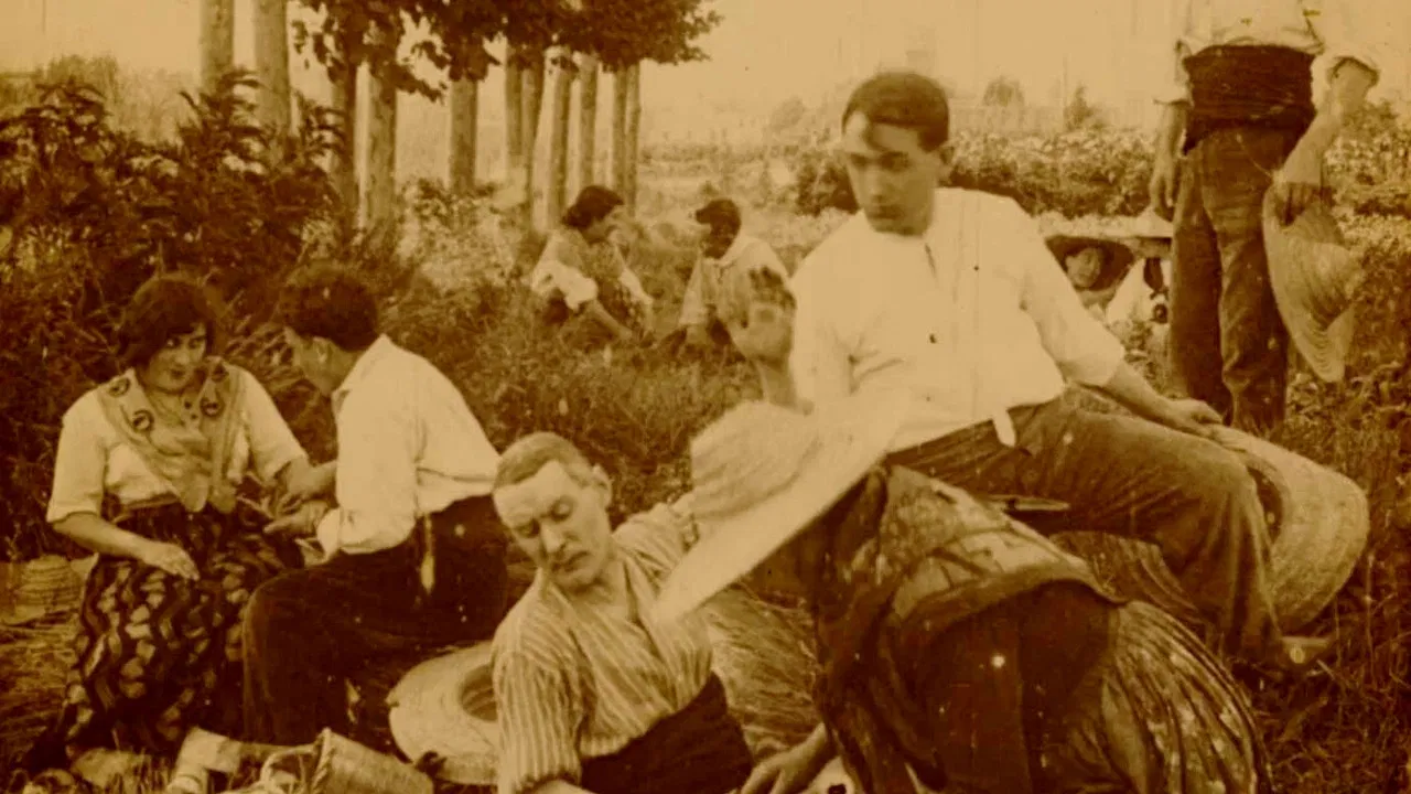 Lucha de corazones backdrop