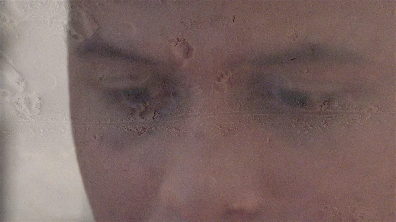 Inauguration Day backdrop