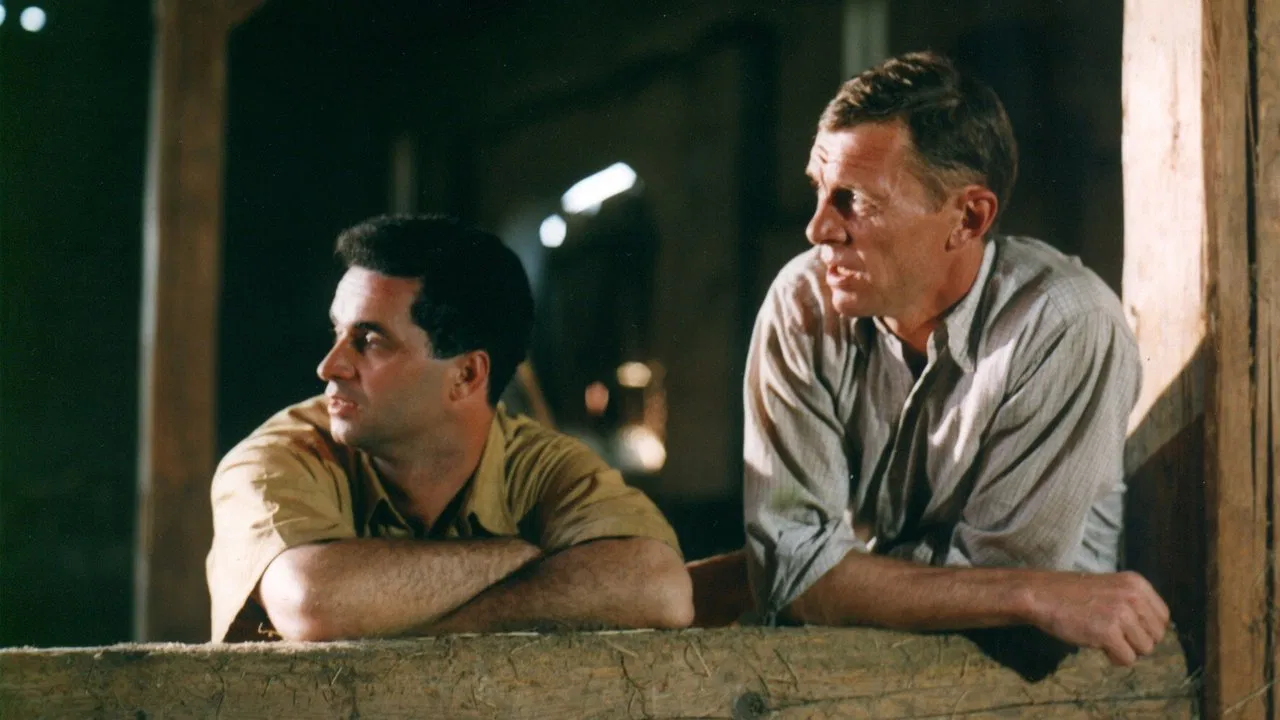 Zdivočelá země backdrop