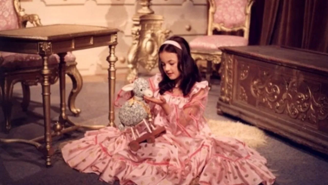 Bílá kočička backdrop