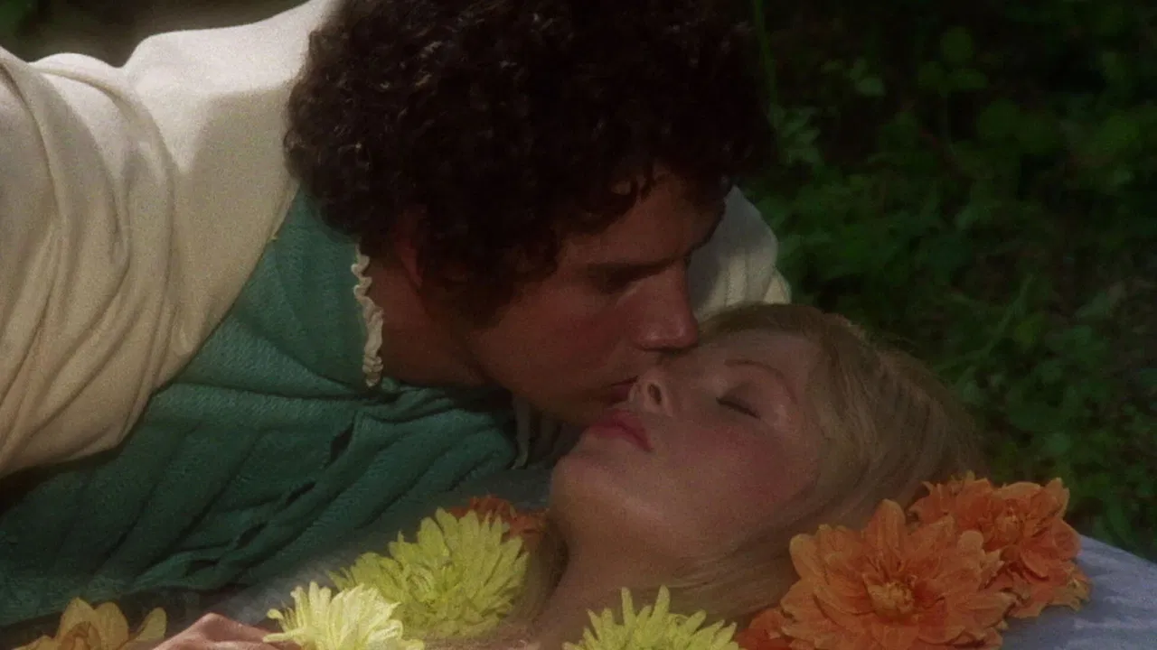 Cinderella and the Princess and the Pea backdrop