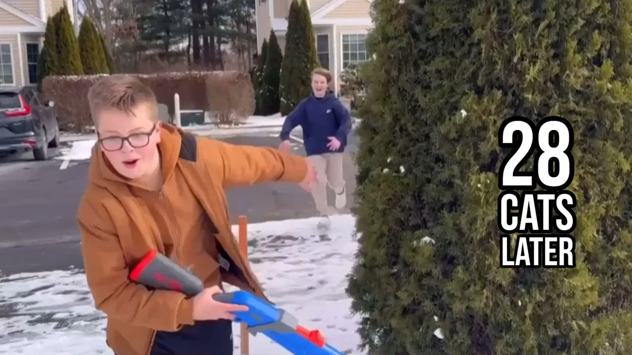 28 Cats Later backdrop