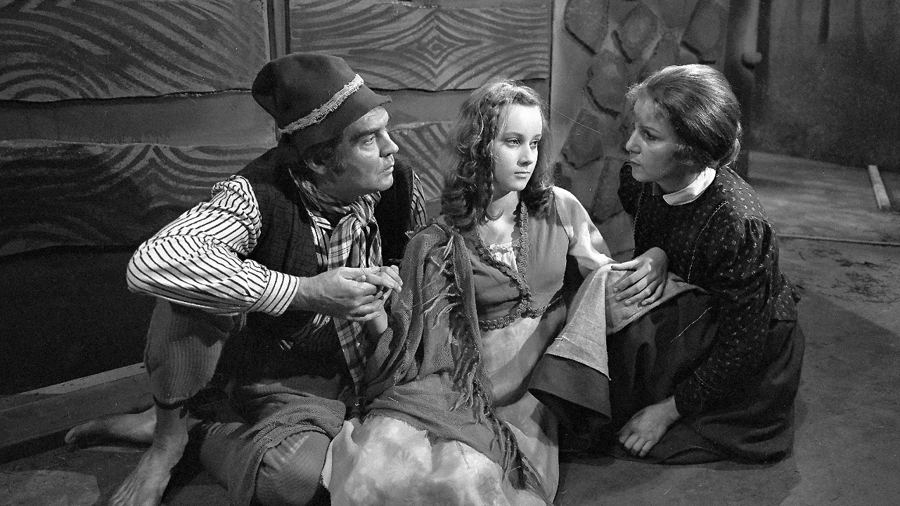 Pohádka z Větrného lesa backdrop