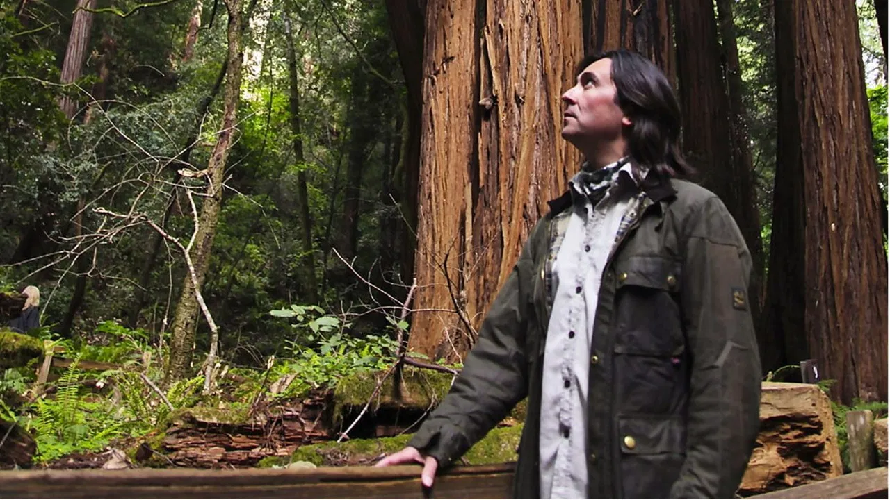 The Last Explorers backdrop