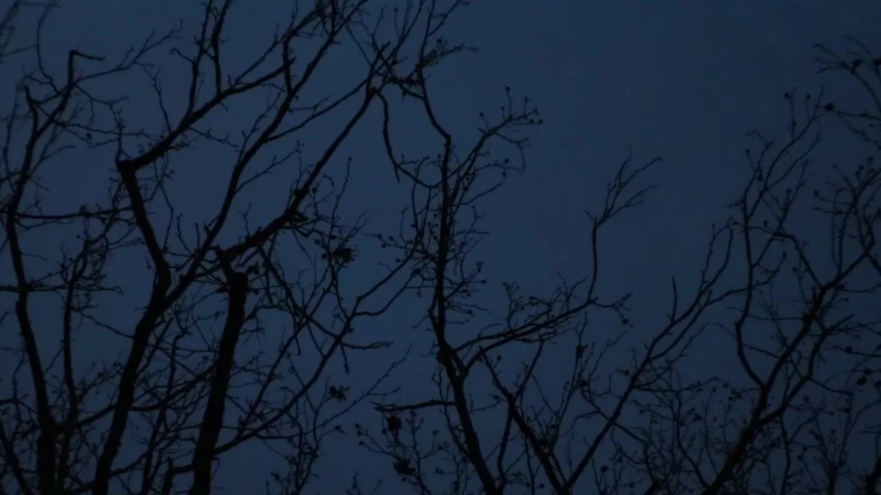 Ode to Big Booty Bitches backdrop