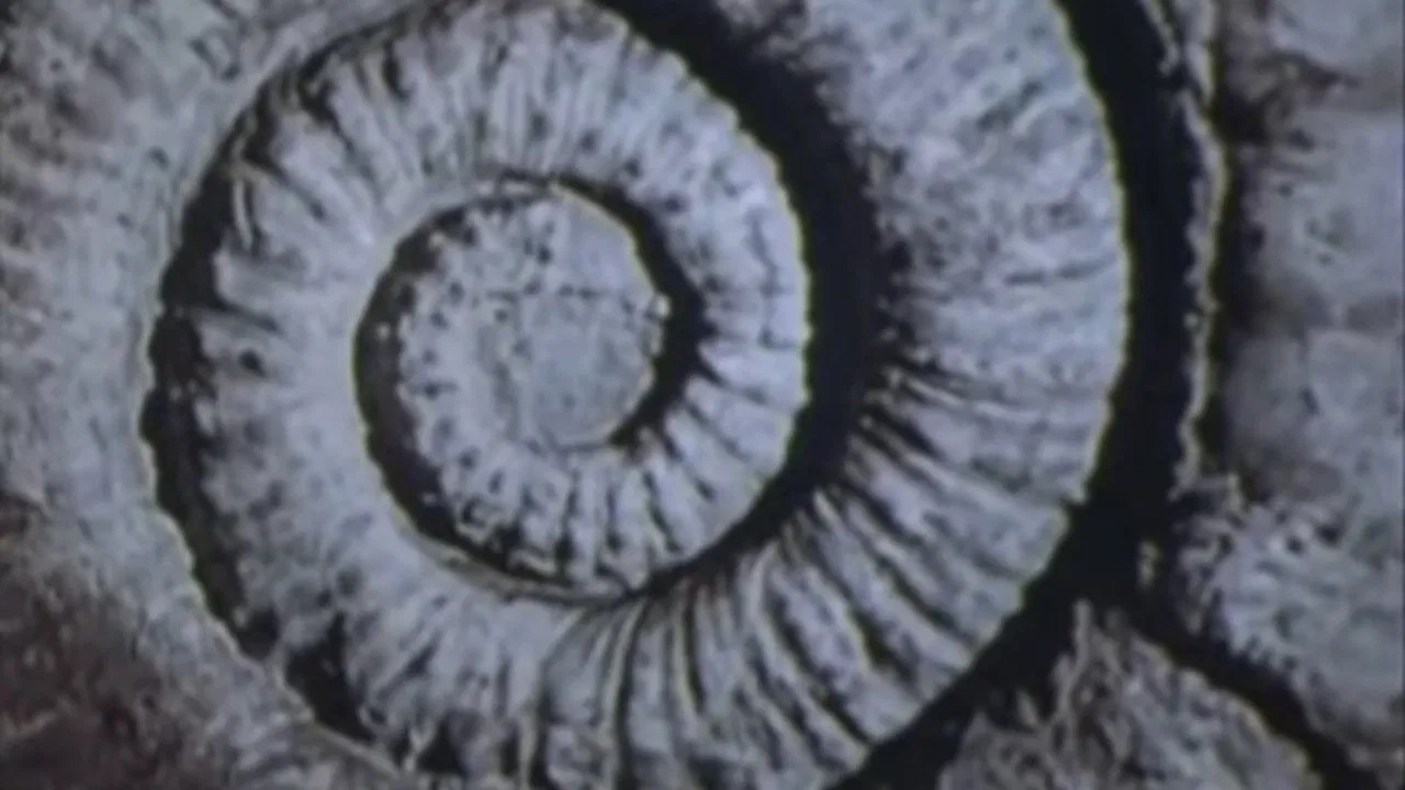 Vernadsky's Law backdrop