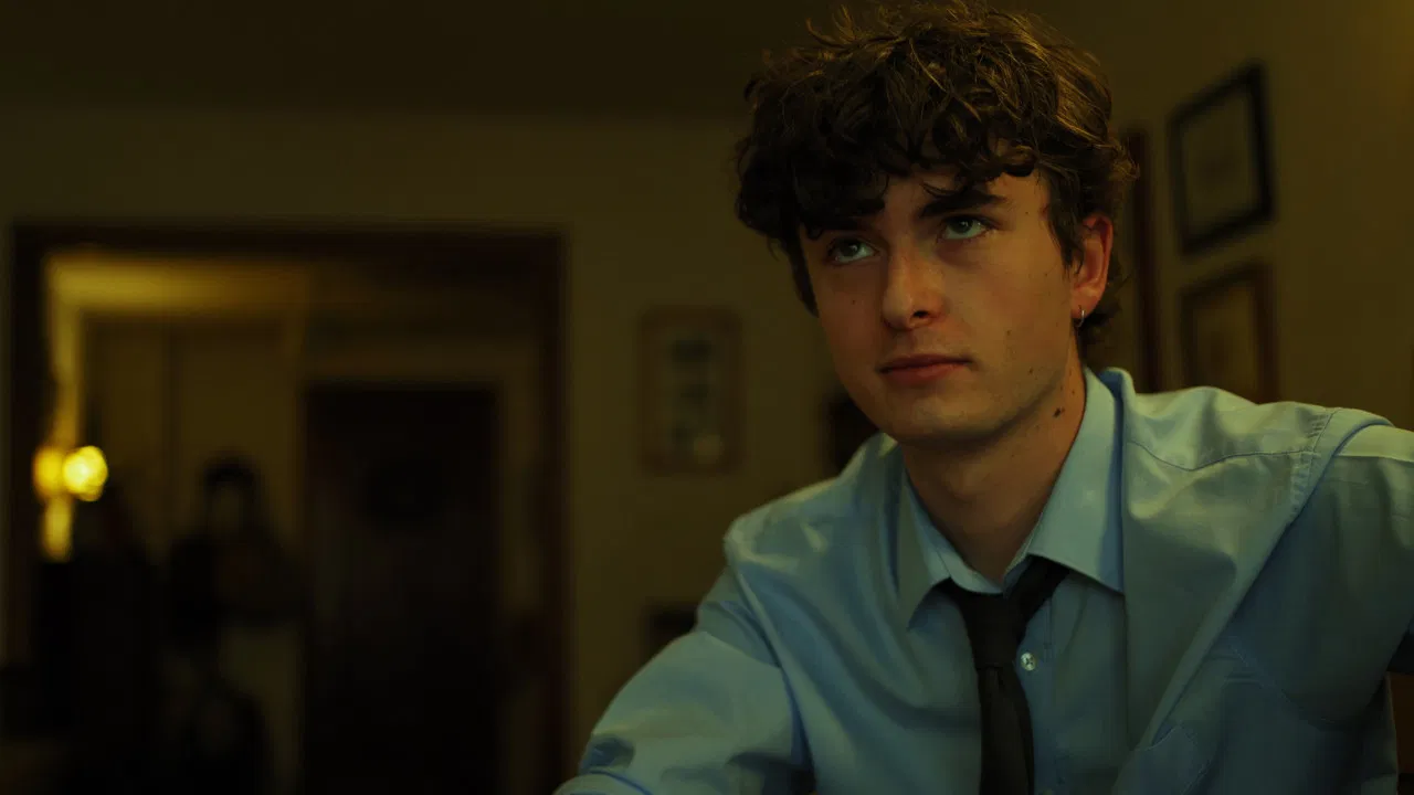 EL ARTÍCULO. backdrop