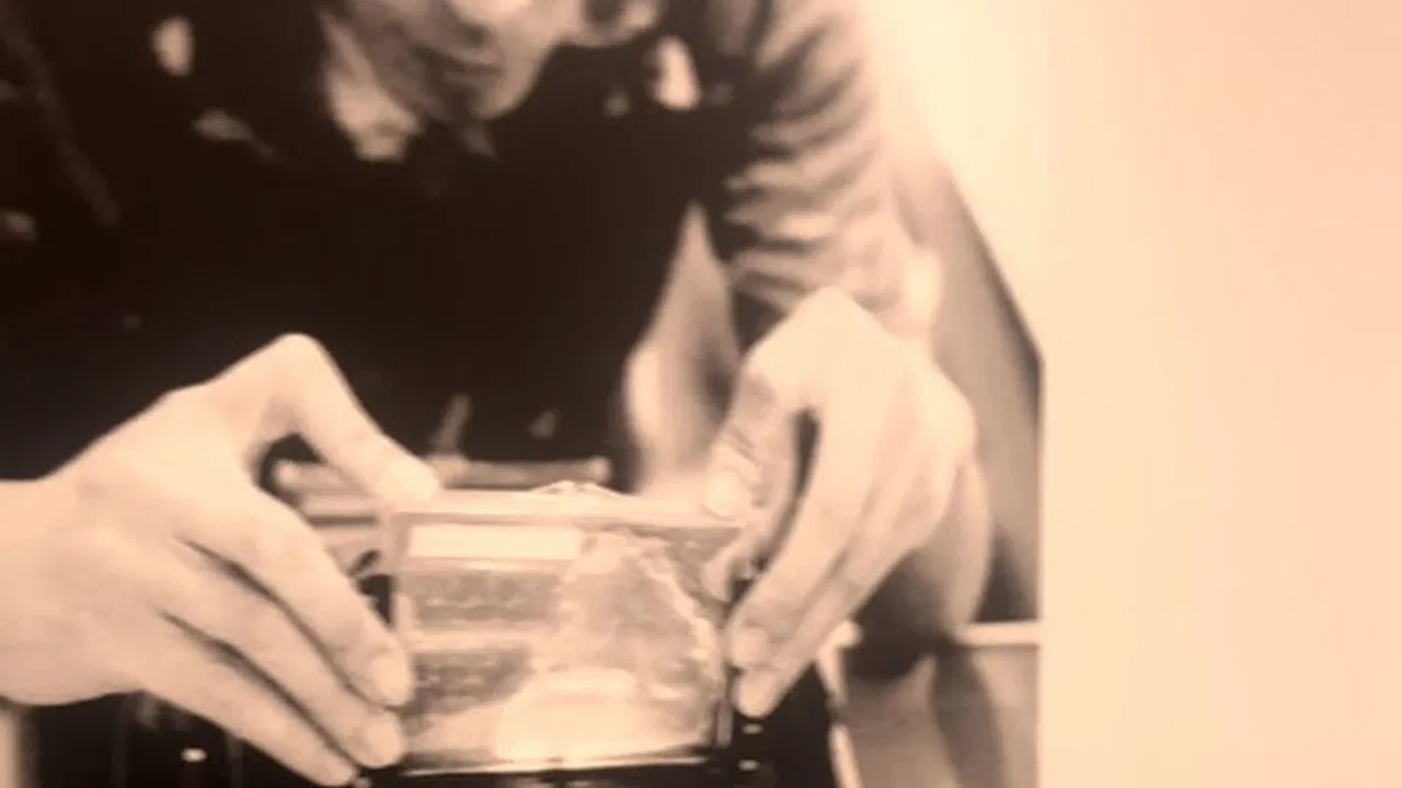 La Dispute – NOWDTC documentary by Martin (CHAPTER I - Clinically Avoidant) backdrop