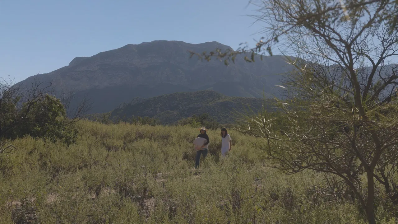 No soy nadie backdrop