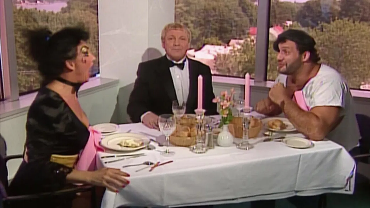 WWE World Tour 1991 backdrop