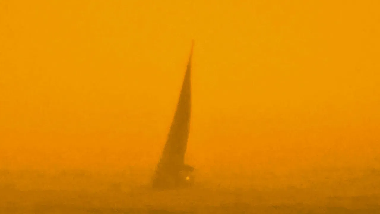 The Last Days of Humanity backdrop