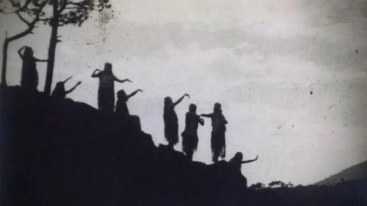 Lily of Life backdrop