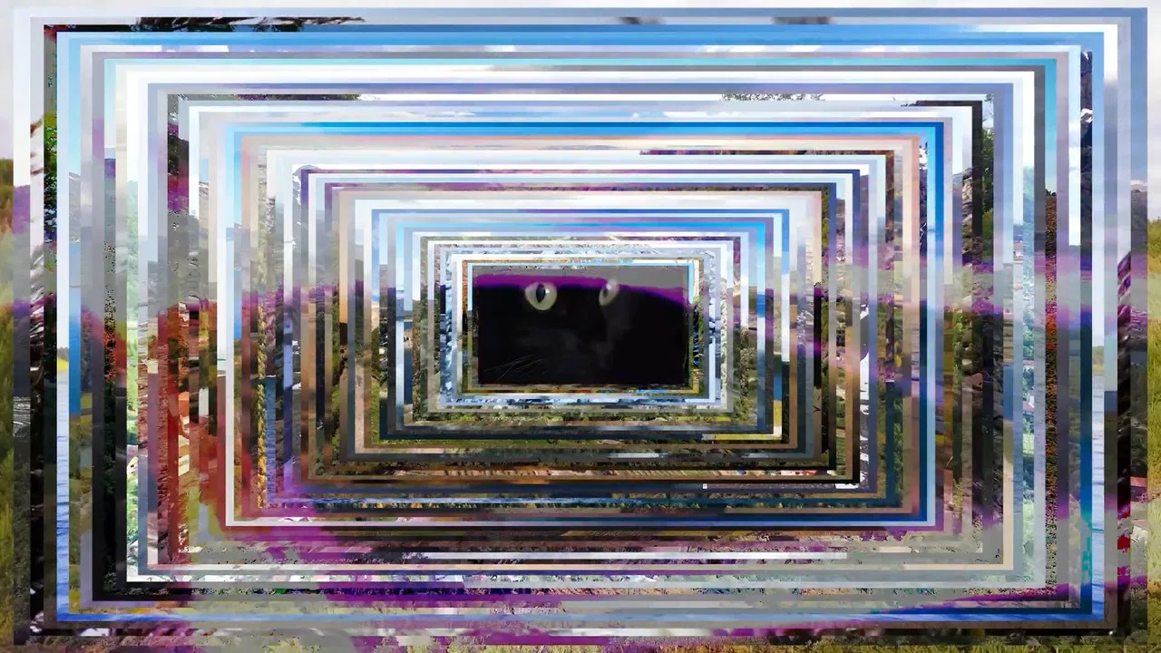 -Pursuit.Imo.Dolio.: Da Briciola a Pane backdrop