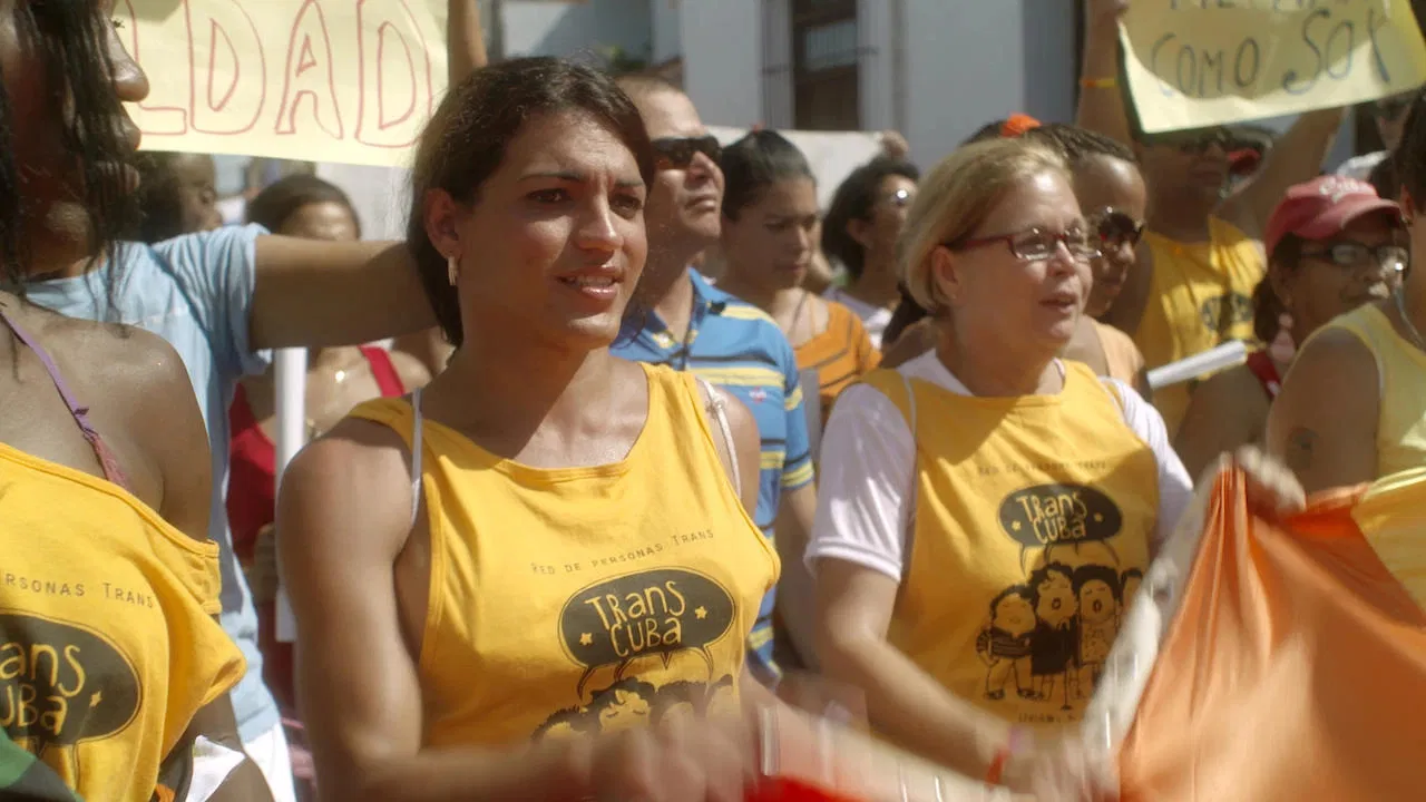 Transit Havana backdrop