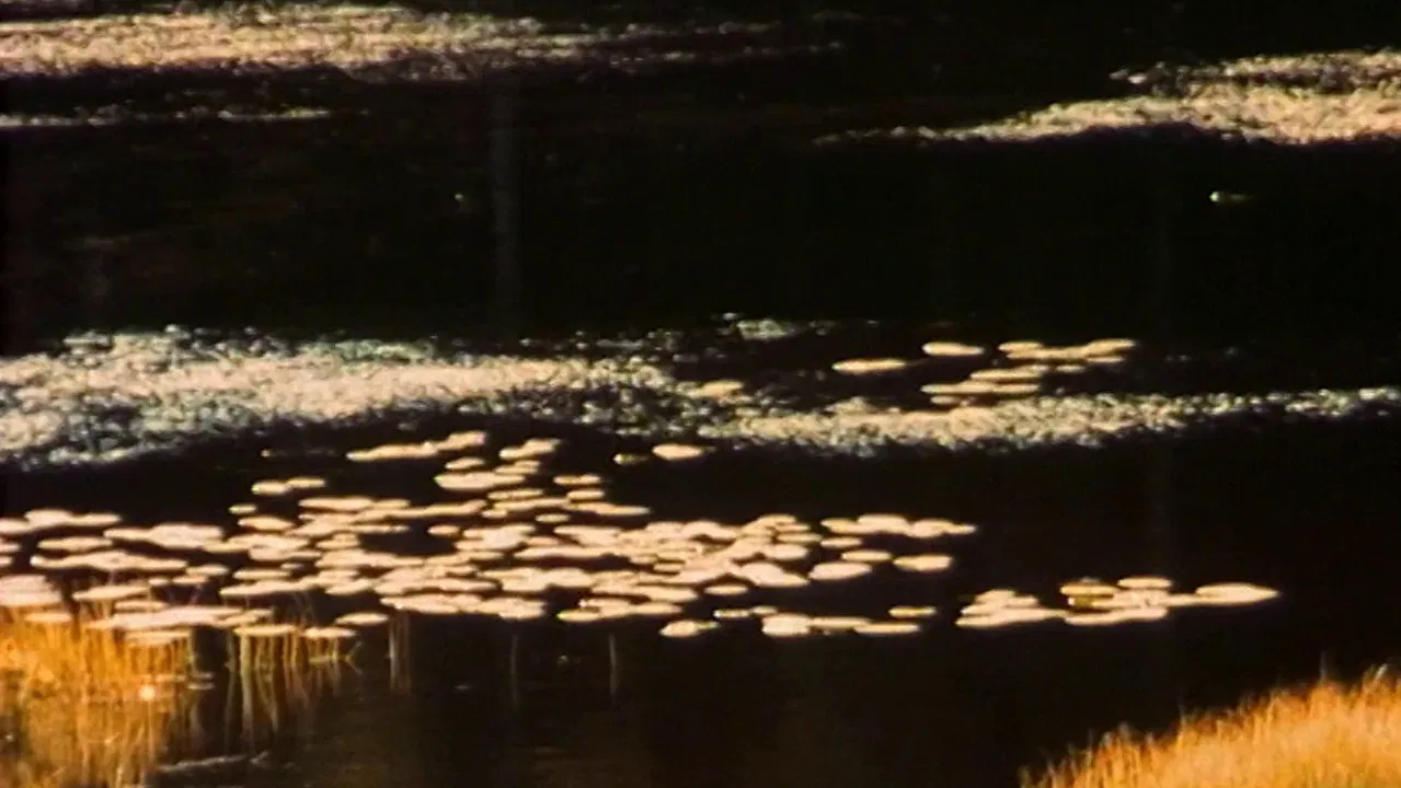 My Eye Is Reflecting backdrop