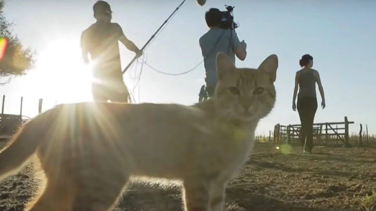 Autosustentables backdrop