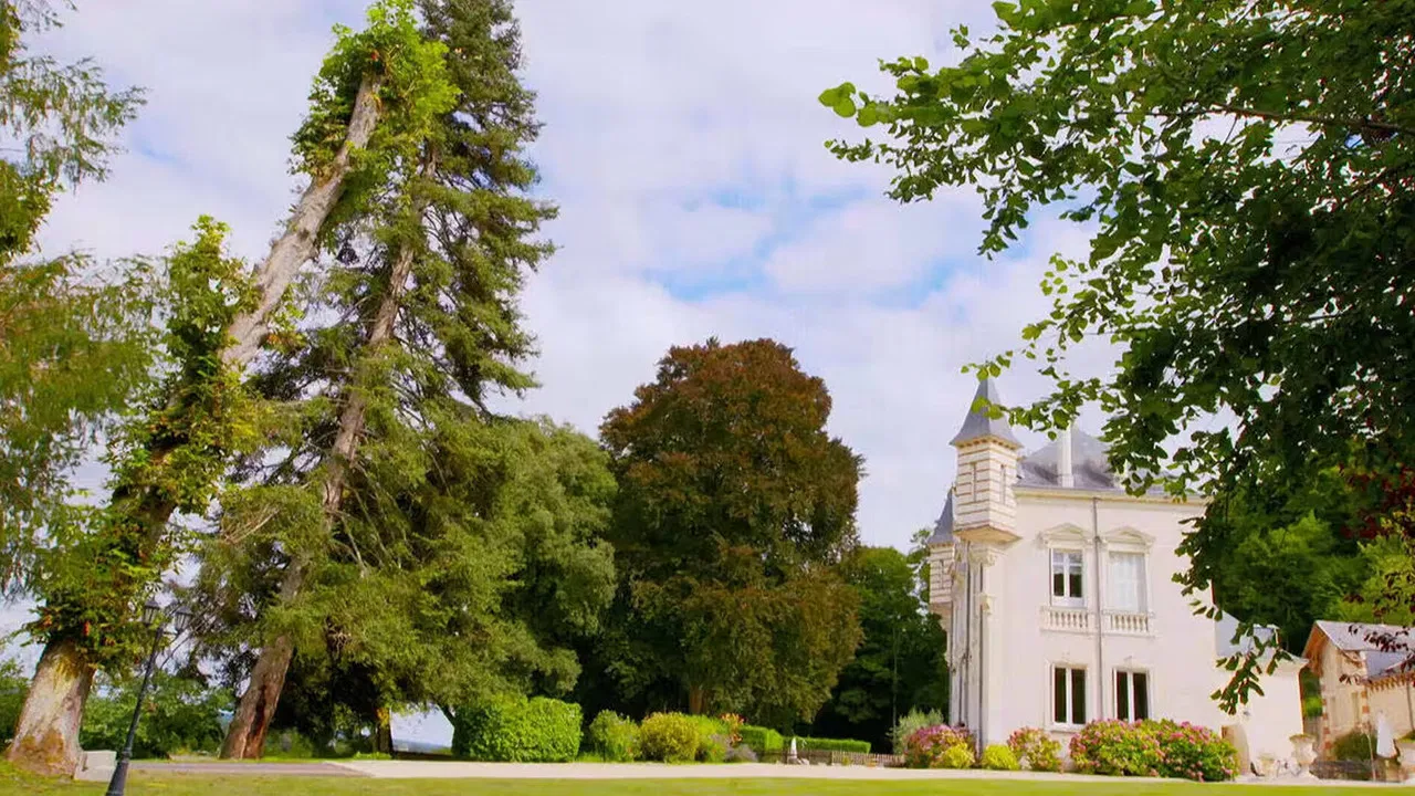 Escape to the Chateau DIY backdrop