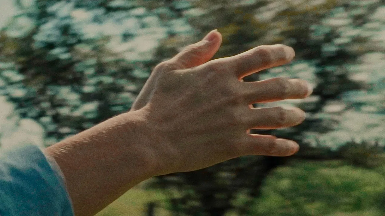 And the days go by backdrop