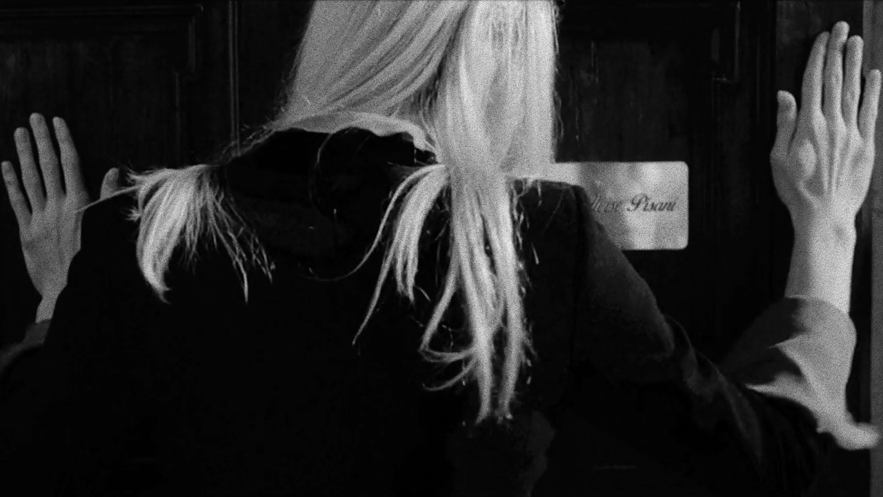 Accept Our Sincere Apologies backdrop