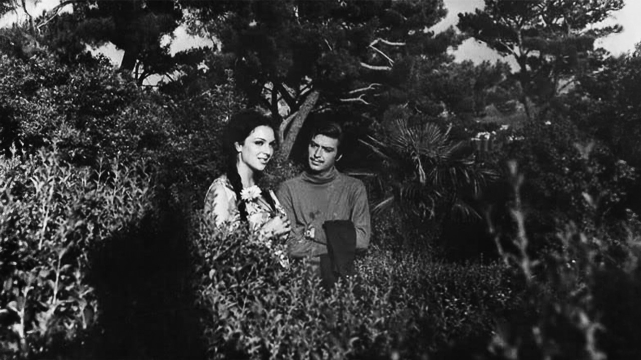 Baharda Solan Çiçek backdrop