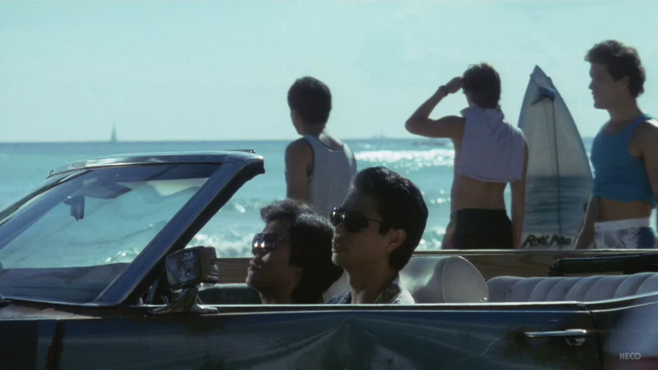 Hawaiian Dream backdrop