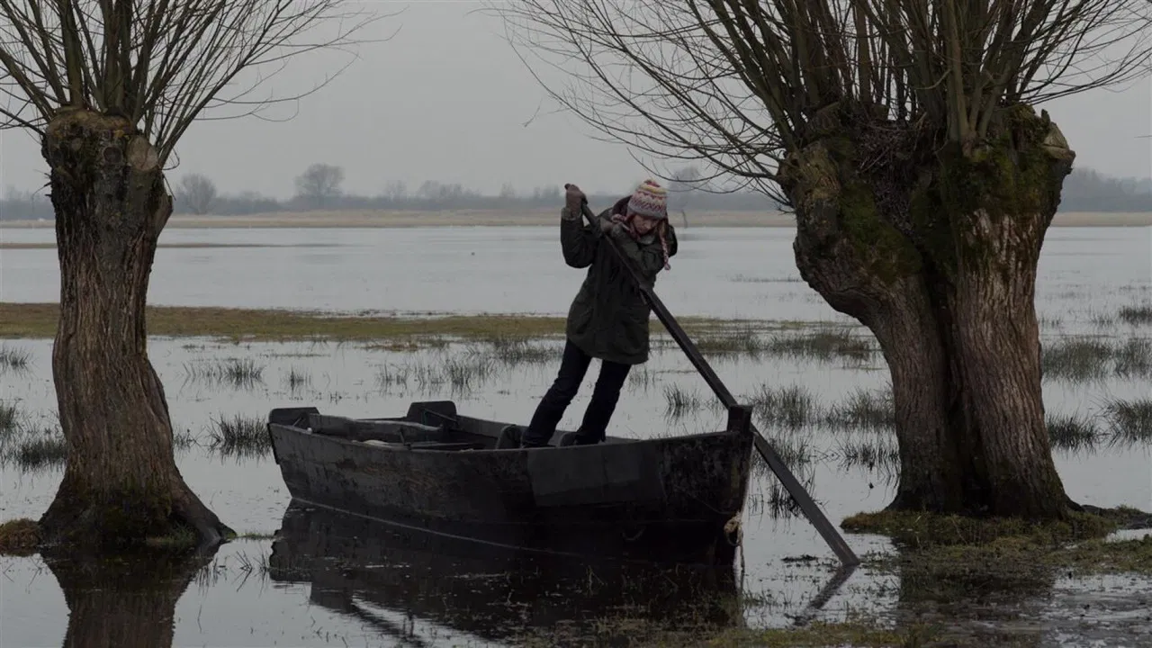 Other Side of Silence backdrop