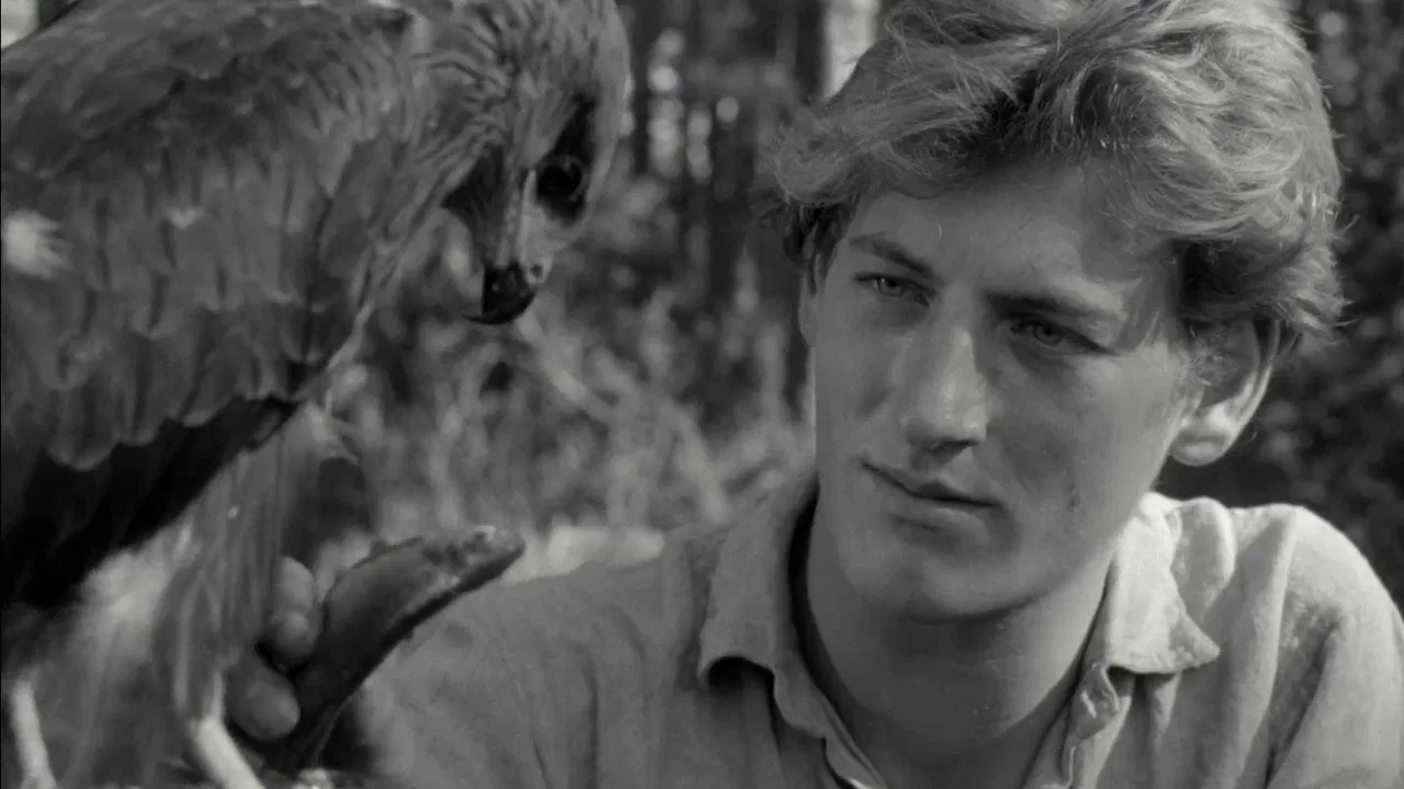 The Rafts Sail On backdrop