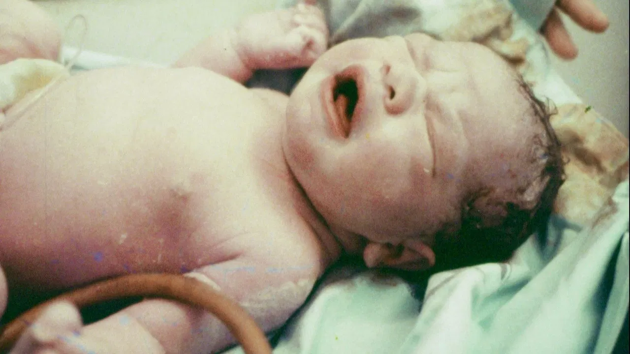 Vida de Mãe é Assim Mesmo? backdrop