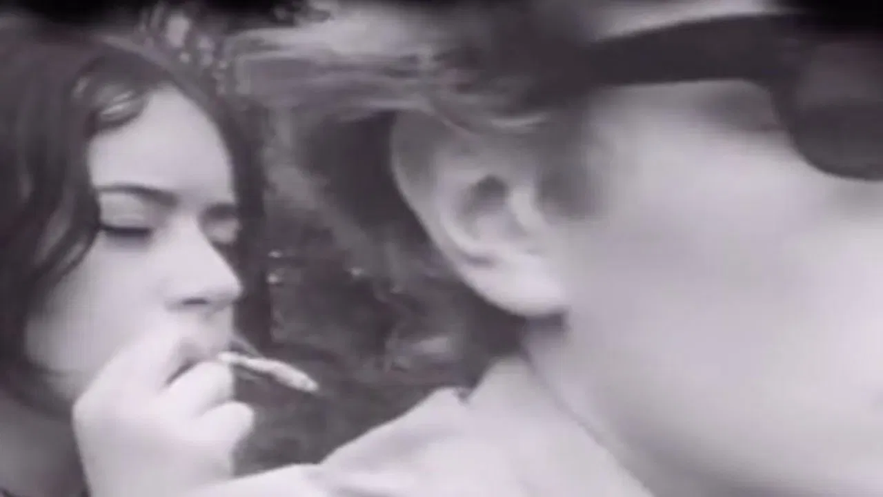 Dokument 65 backdrop