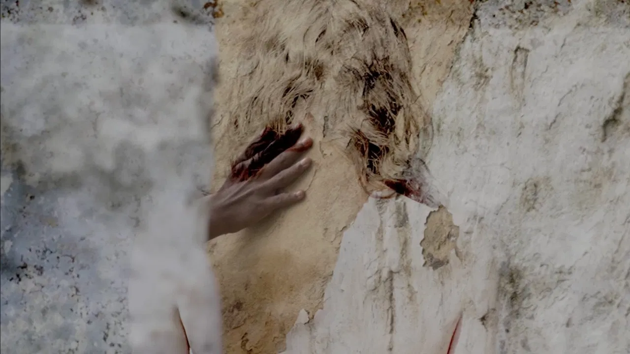 Dinosaur's Egg backdrop