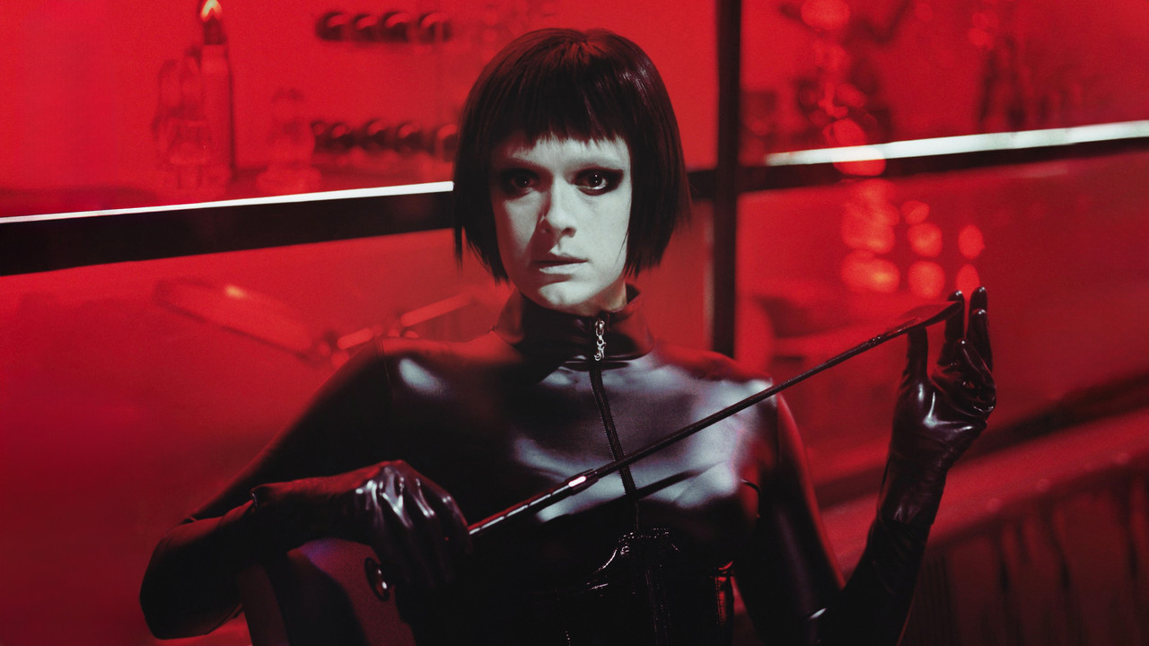 Dogs Don't Wear Pants backdrop