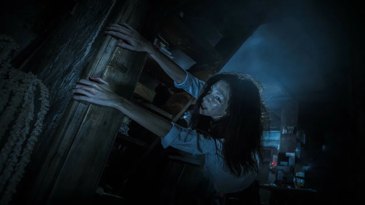 The Tag-Along 2 backdrop