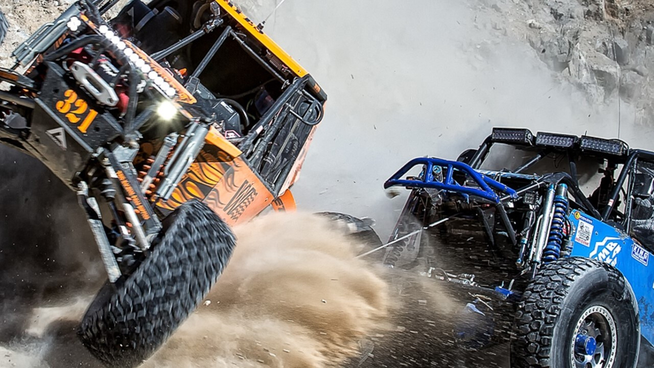 Kings of the desert backdrop