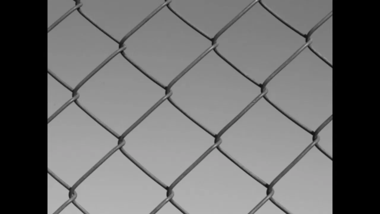 After The Birds backdrop