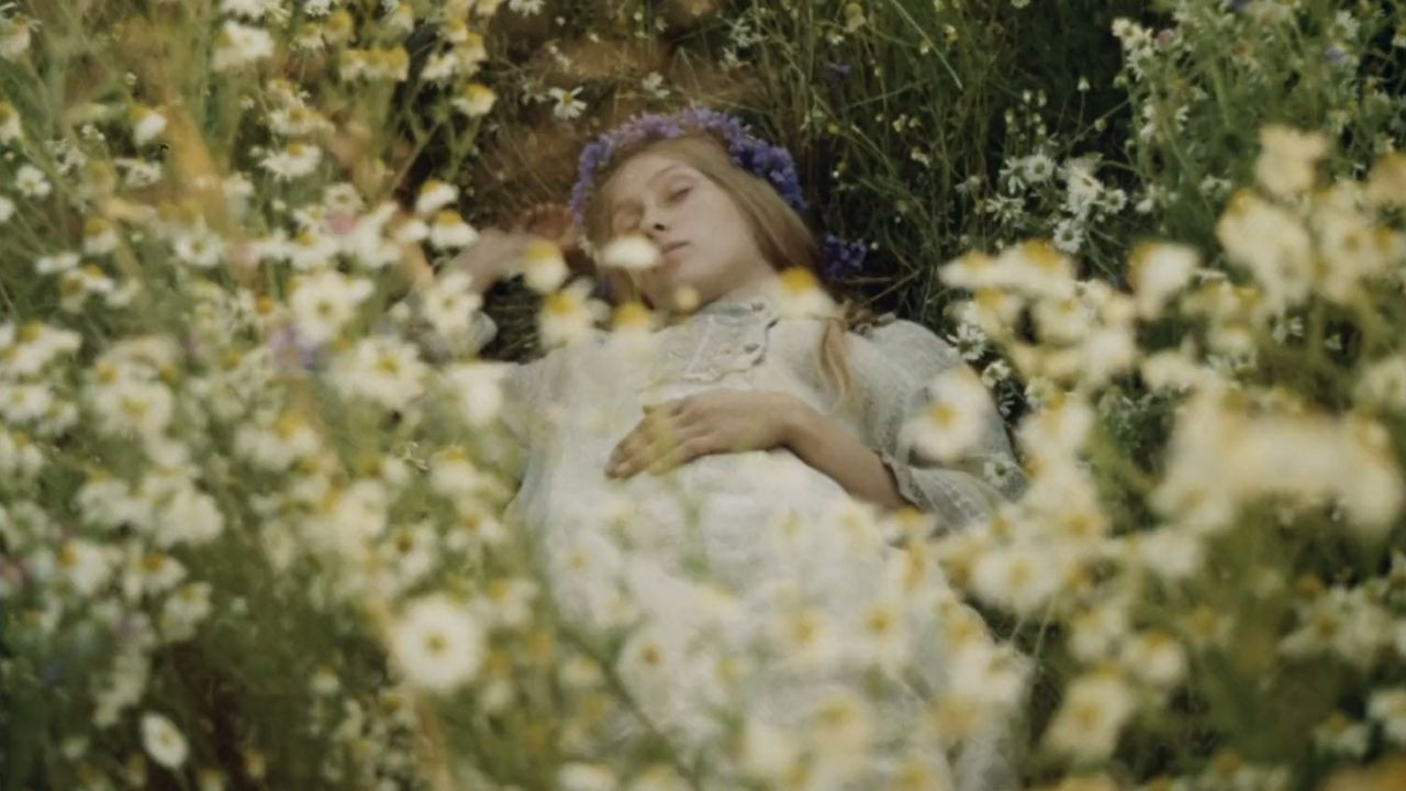 Scattered Nest backdrop